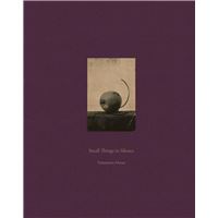 Masao Yamamoto Small Things in Silence (New Edition) /anglais/japonais