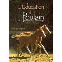L'éducation du poulain