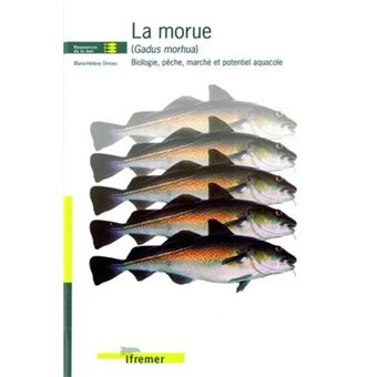 La morue (gadus morhua) - 1