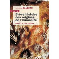 Breve histoire des origines de l'humanite