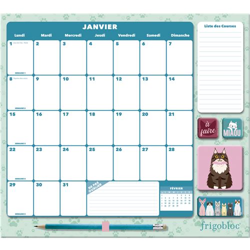 Frigobloc : mensuel ; déco chats (édition 2024) - Collectif - Play Bac -  Papeterie / Coloriage - Librairie Martelle AMIENS