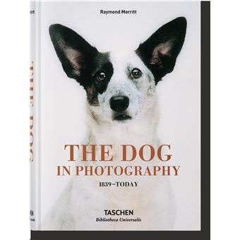The Dog in Photography 1839–Today - 1