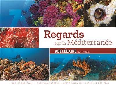 Regards sur la Méditerranée Abécédaire du corraligène
