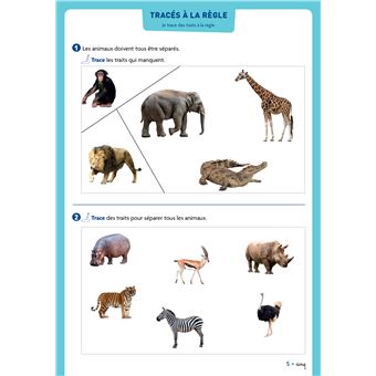 Cap Maths CP - Ed. 2025 - Cahier de Géométrie-Mesure