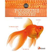 10pcs Simulation de caoutchouc Petit poisson rouge Poisson doré
