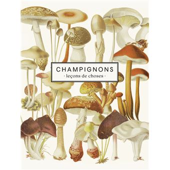 Carnet Champignons