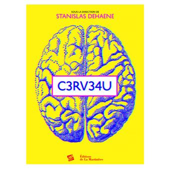 Cerveau - 1