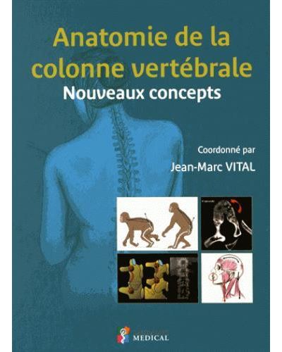 Anatomie de la colonne vertebrale. nouveaux concepts