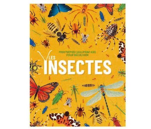 Les Insectes - Eliza Jeffery - broché