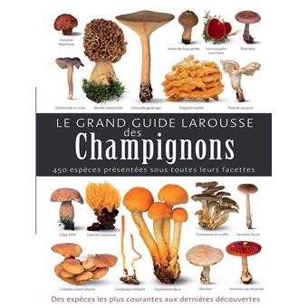 couverture de : Le grand guide Larousse des champignons