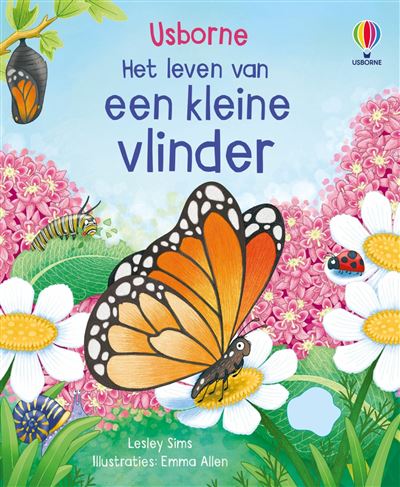 Het leven van een kleine vlinder