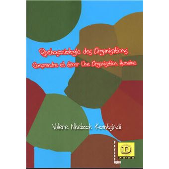 Psychosociologie des organisations - 1