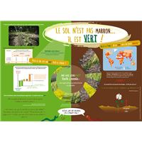 Sol n'est pas marron... Il est vert ! (Le)