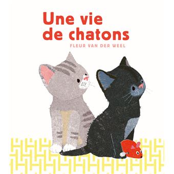 Une vie de chatons - 1