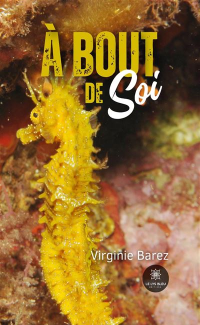 À bout de soi - Virginie Barez - broché