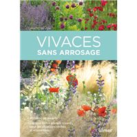 Vivaces sans arrosage