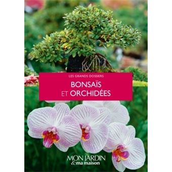 Bonsaïs et orchidées - 1