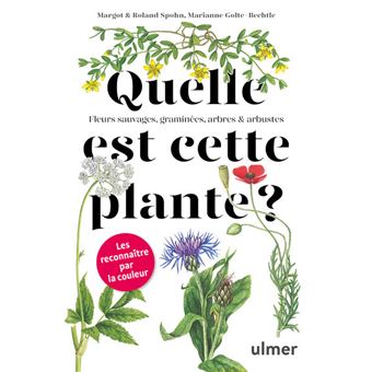 Quelle est cette plante ? - 1