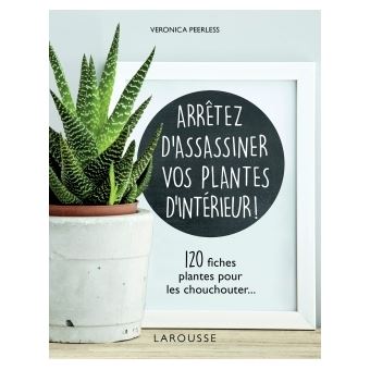Arrêtez d'assassiner vos plantes d'intérieur - 1