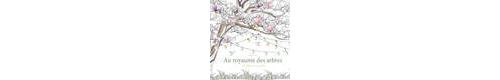 Au royaume des arbres - Dessins a colorier