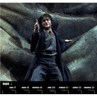 Grupo Erik Calendrier Bureau 2025 Harry Potter - Mensuel 18x20 Cm, Janvier à Décembre, Pour Potterheads