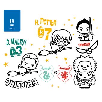 Harry Potter Mon année à colorier