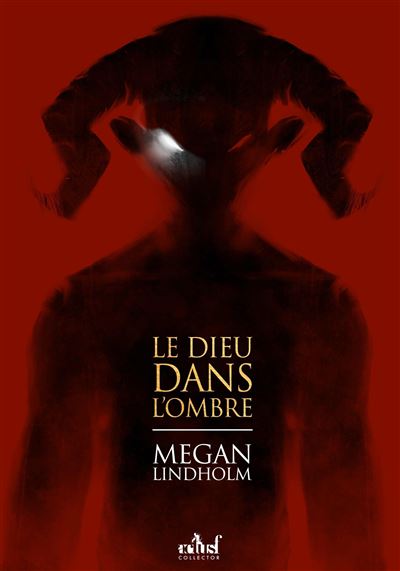 Le Dieu dans l ombre -  LINDHOLM ZARIEL - broché