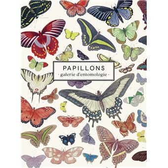 Carnet Papillons