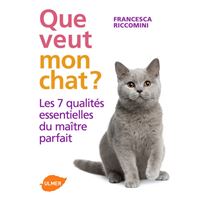 Que veut mon chat ? Les 7 qualités essentielles du maître parfait