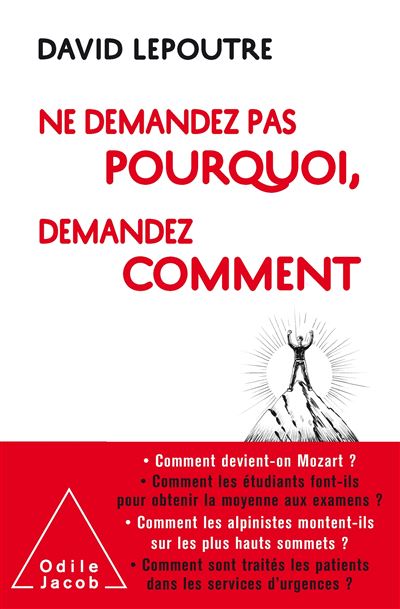 Ne demandez pas pourquoi, demandez comment - David Lepoutre - broché