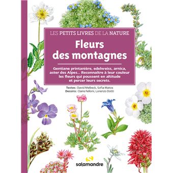 Fleurs des montagnes