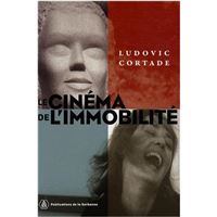 Le cinéma de l'immobilité
