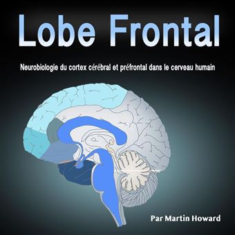 Lobe Frontal - 1