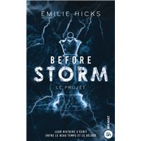 Before Storm - T2 : Le projet