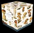 Puzzle Champignons 1000 pièces