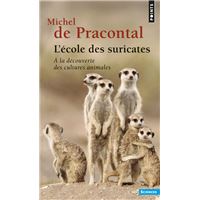 L'Ecole des suricates