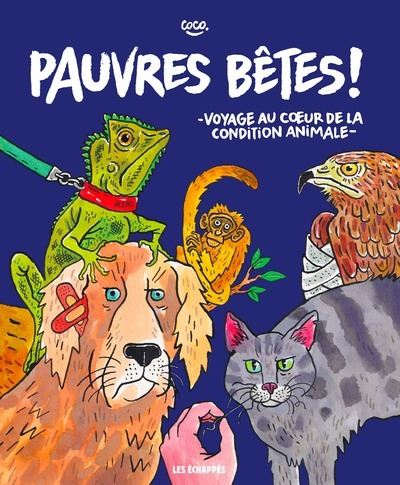 Pauvres bêtes ! - Voyage au coeur de la condition animale - Coco - Les Echappes - cartonné - Bande dessinée