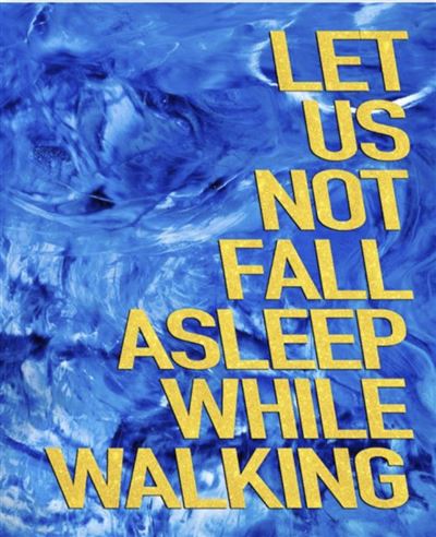 Let us not fall asleep while walking -  DAVID DENIL - relié