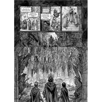 Obrigan - Le Serment des Druides T01