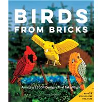 Birds from Bricks