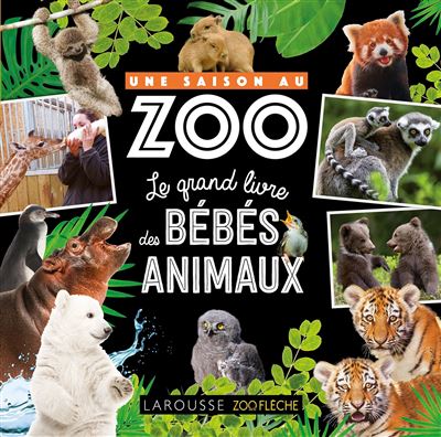 Une saison au zoo Le grand livre des bebes animaux - Aurore 