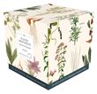 Puzzle Plantes aromatiques 1000 pièces