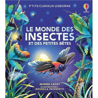 Le monde des insectes et des petites bêtes - P'tits curieux Usborne - dès 5 ans