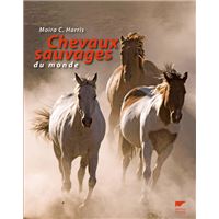 Chevaux sauvages du monde