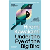 Under the eye of the big bird