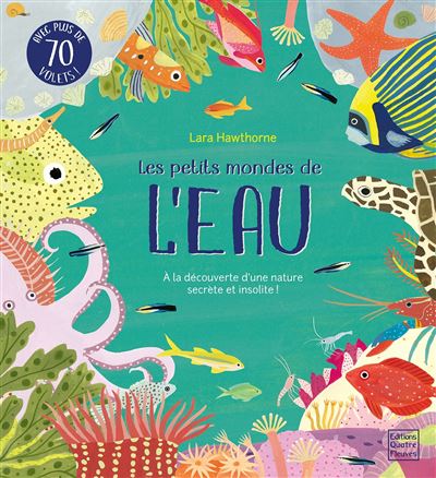 Les petits mondes de l'eau - Lily Murray - Quatre Fleuves Eds - cartonné - Document jeunesse