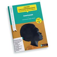 Reading Guide - Americanah