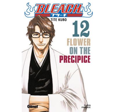 Vol.12 Bleach (lower on the precipice)