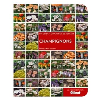 Champignons - 1