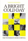 A BRIGHT COLD DAY